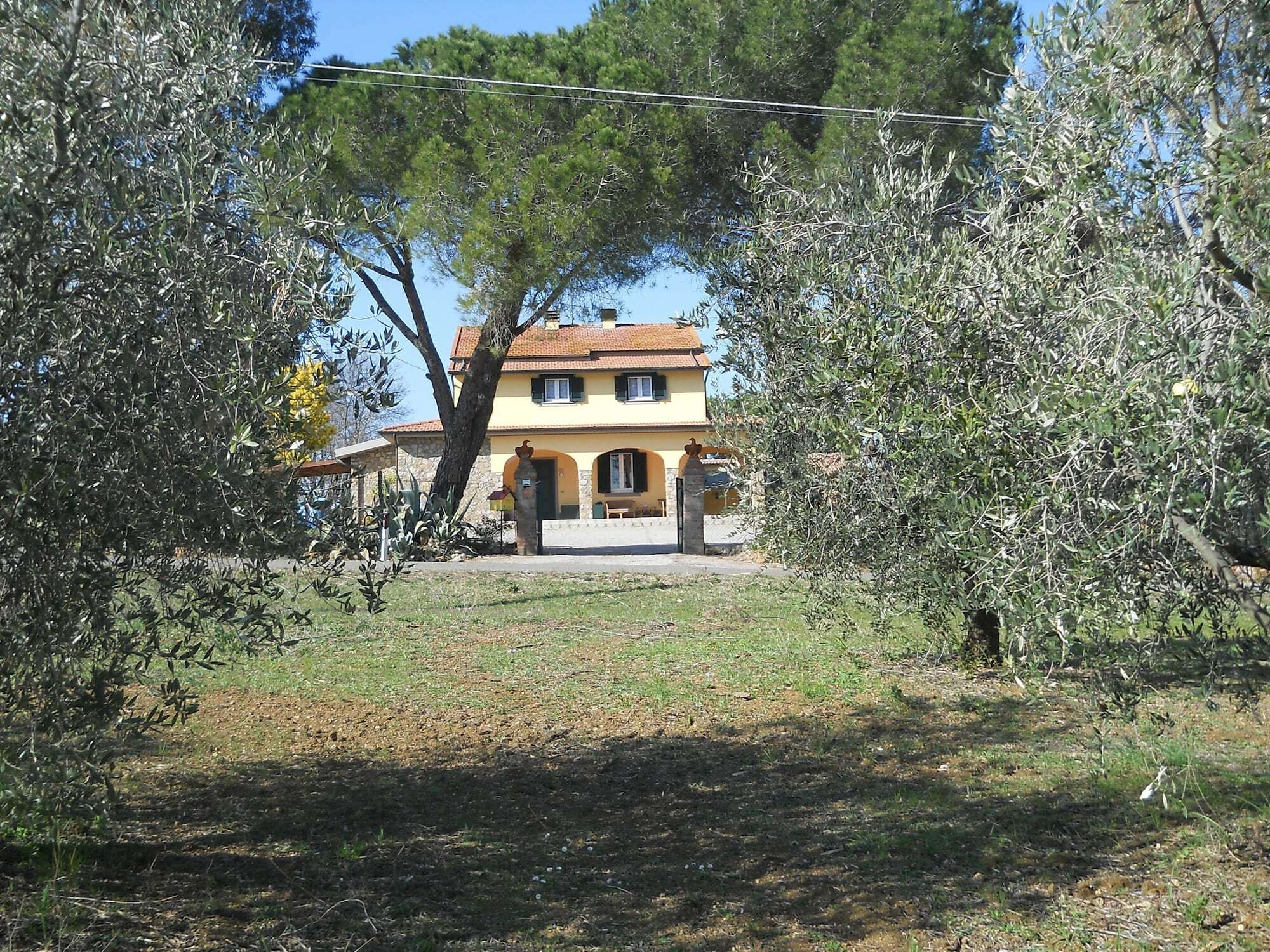Agriturismo Poggio Sassineri Villa Magliano in Toscana Exterior photo